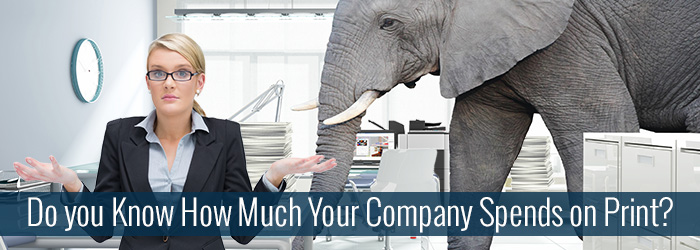 Do-you-Know-How-Much-Your-Company-Spends-on-Print2