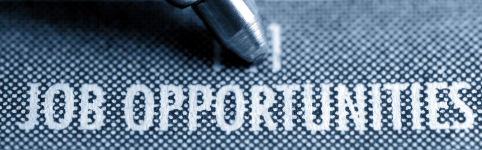 job-opportunities