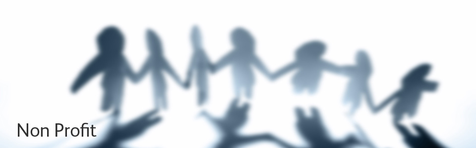 non profit companies